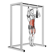 Arm Slingers Hanging Straight Legs demonstration animation