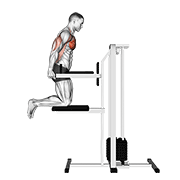 Assisted Chest Dip Kneeling demonstration animation