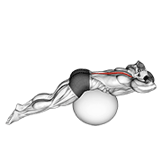 Back Extension On Exercise Ball demonstration animation