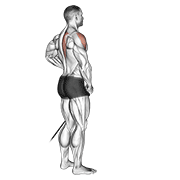 Band Front Lateral Raise demonstration animation