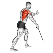 Band One Arm Standing Low Row demonstration animation