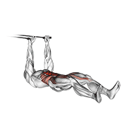 Band Push Sit Up demonstration animation