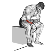 Band Reverse Wrist Curl demonstration animation