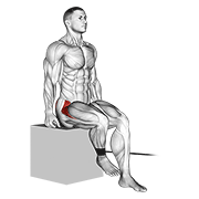 Band Seated Hip Internal Rotation demonstration animation