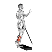 Band Single Leg Calf Raise demonstration animation