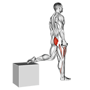 Band Single Leg Split Squat demonstration animation