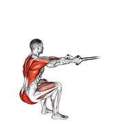 Band Squat Row demonstration animation