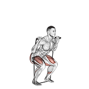 Band Squat demonstration animation