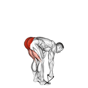Band Stiff Leg Deadlift demonstration animation