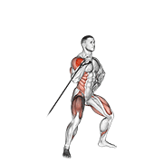 Band Twisting Overhead Press demonstration animation