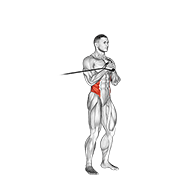 Band Vertical Pallof Press demonstration animation