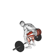 Barbell Deadlift demonstration animation