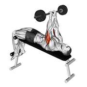 Barbell Decline Close Grip To Skull Press demonstration animation