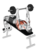 Barbell Decline Pullover demonstration animation
