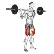 Barbell Low Bar Squat demonstration animation