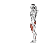 Barbell Lunge demonstration animation