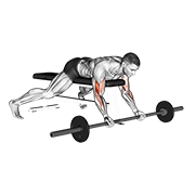 Barbell Lying Preacher Curl demonstration animation