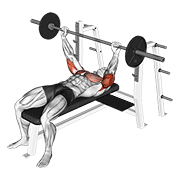 Barbell Pin Presses demonstration animation