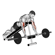 Barbell Prone Incline Curl demonstration animation