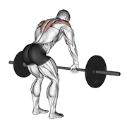 Barbell Rear Delt Row demonstration animation