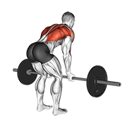 Barbell Reverse Grip Bent Over Row demonstration animation