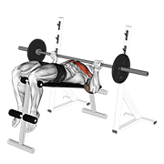 Barbell Reverse Grip Decline Bench Press demonstration animation
