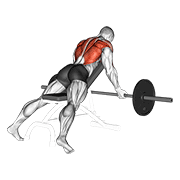 Barbell Reverse Grip Incline Bench Row demonstration animation