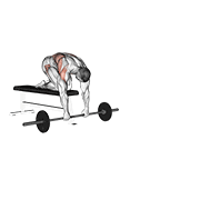 Barbell Rollerout From Bench demonstration animation