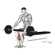 Barbell Seated Calf Raise demonstration animation