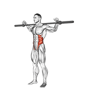 Barbell Side Bent V2 demonstration animation