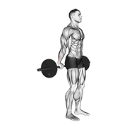 Barbell Standing Back Wrist Curl demonstration animation