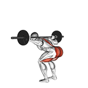 Barbell Stiff Leg Good Morning demonstration animation