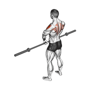 Barbell Upright Row V3 demonstration animation