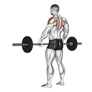 Barbell Wide Grip Upright Row demonstration animation