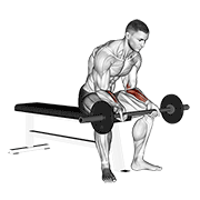 Barbell Wrist Curl V2 demonstration animation