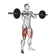 Barbell Zercher Squat demonstration animation