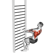 Bodyweight Squatting Row With Towel demonstration animation