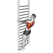 Bodyweight Standing Close Grip Row demonstration animation