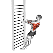 Bodyweight Standing Row With Towel demonstration animation