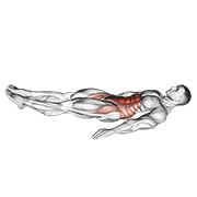 Bottoms Up demonstration animation