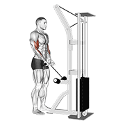 Cable Close Grip Curl demonstration animation