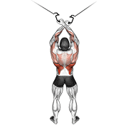 Cable Cross Over Lateral Pulldown demonstration animation