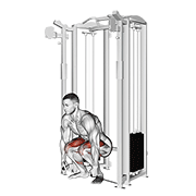Cable Deadlift demonstration animation