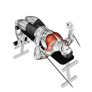 Cable Decline Press demonstration animation