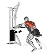 Cable Decline Seated Wide Grip Row demonstration animation