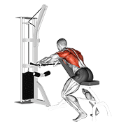 Cable Incline Bench Row demonstration animation