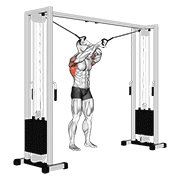 Cable Lat Pulldown Full Range Of Motion demonstration animation