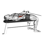 Cable Lying Bicep Curl demonstration animation
