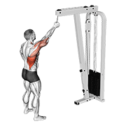 Cable One Arm Pulldown demonstration animation