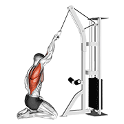 Cable One Arm Straight Back High Row Kneeling demonstration animation